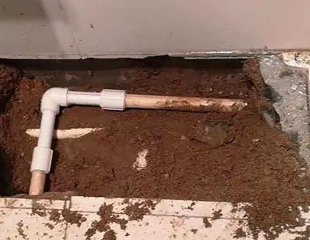 肃南测漏水哪家好