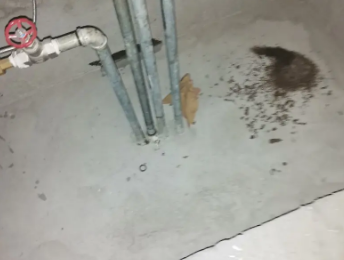 肃南卫生间测漏水价格明细