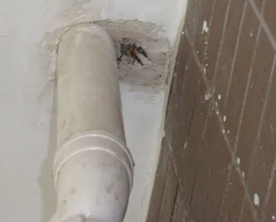 肃南漏水检测哪家好